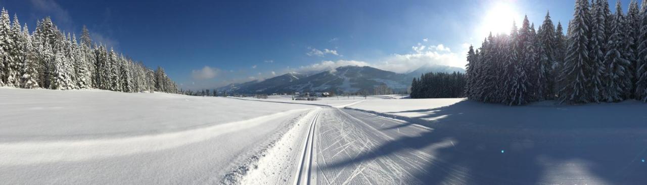 Landhaus Luehrmann Ramsau am Dachstein Dış mekan fotoğraf